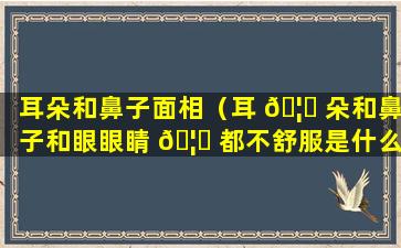 耳朵和鼻子面相（耳 🦟 朵和鼻子和眼眼睛 🦅 都不舒服是什么原因）